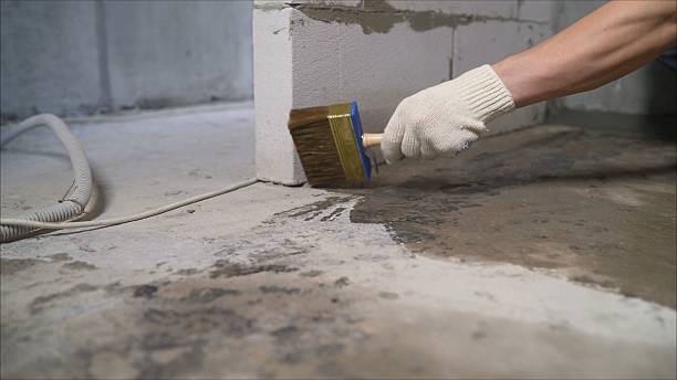 24/7 Emergency Wet Basement Repair experts in Wilmington, IL